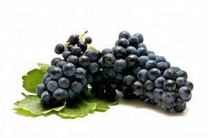 tempranillo blend-tempranillo-vin
