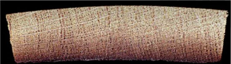 chauffe_par_convection chauffe_par_convection